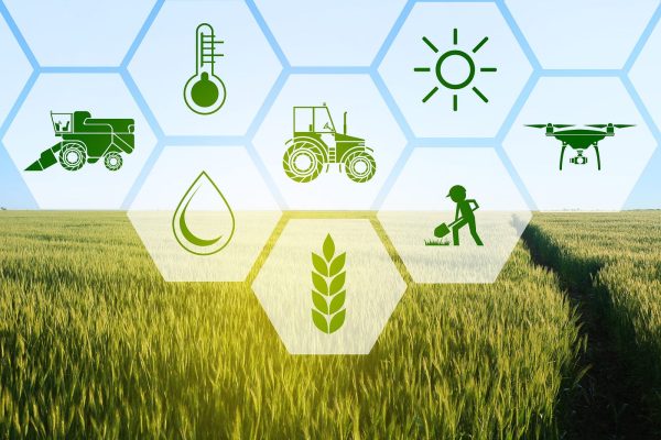Agricultural Products Embrace Digitalization with Blockchain Technology