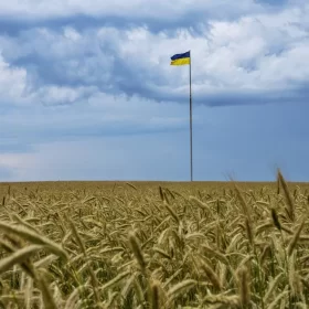 Crafting a Sustainable Path: Navigating EU-Ukraine Grain Trade Amidst Tariff Negotiations