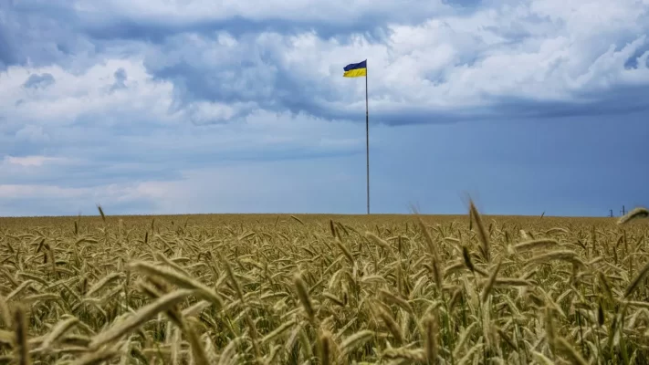 Crafting a Sustainable Path: Navigating EU-Ukraine Grain Trade Amidst Tariff Negotiations