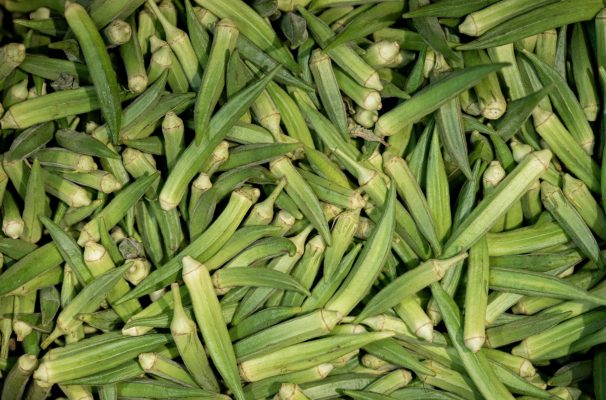 Cultivation of Okra A Comprehensive Guide